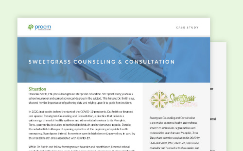 Sweetgrass Counseling and Consultation Case Study